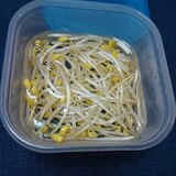 簡単◎　豆もやしを長持ちさせる方法